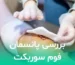 بررسی پانسمان فوم سوربکت